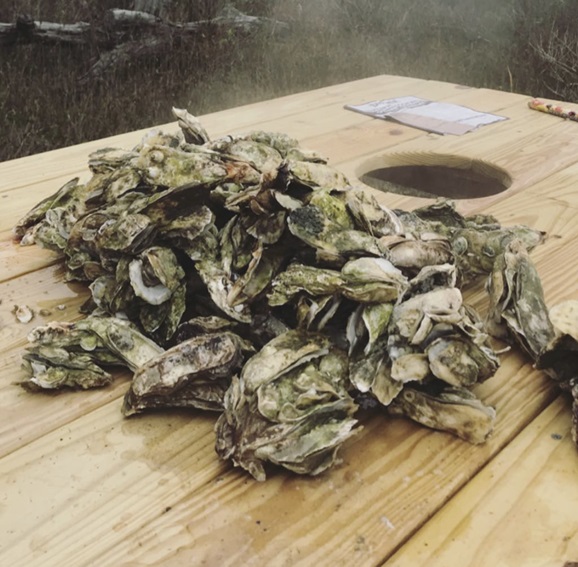 Oysters are Important to South Carolina 